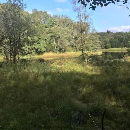 Lilletveitvegen Апартаменты Берген