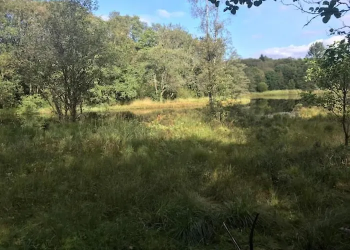 Lilletveitvegen Apartman Bergen